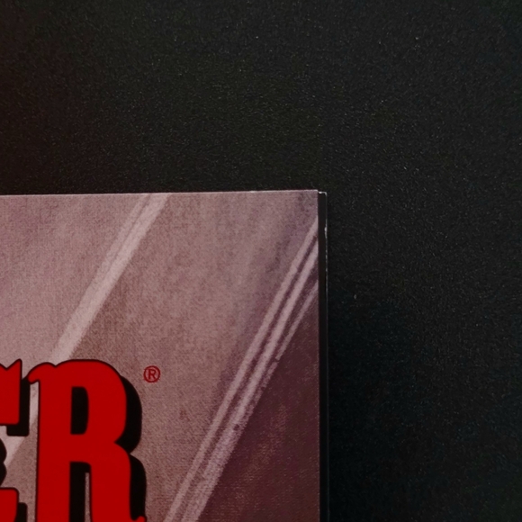 Spawn: GunSlinger #38 - Picture 6 of 8